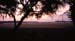 PhotoCD-078