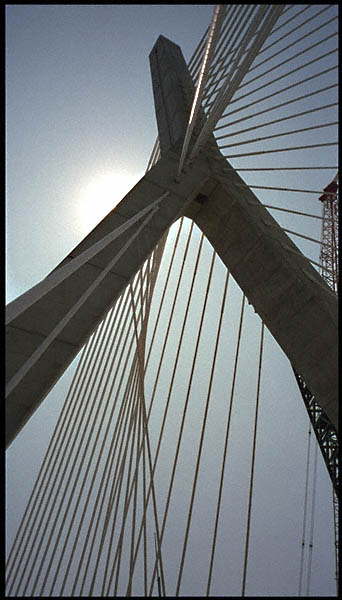 30-bridgecables-2