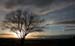 DSCN0060
