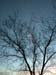 DSCN0077