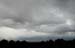 DSCN0079